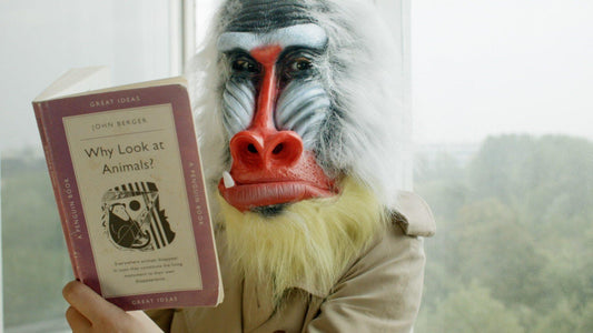 JOHN BERGER, The Happy Centaur: Visiting a Rural Futurist