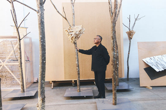 Tadashi Kawamata Talks With Nature