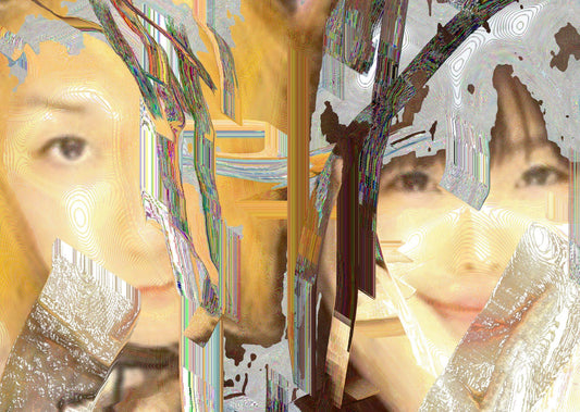 CREATIVITY IN THE CONVERGENCE AGE