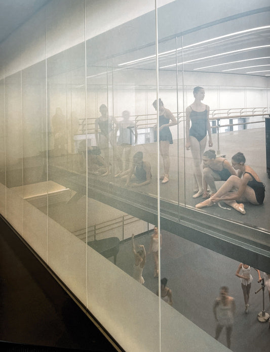 From the Sleep Side: DILLER SCOFIDIO + RENFRO