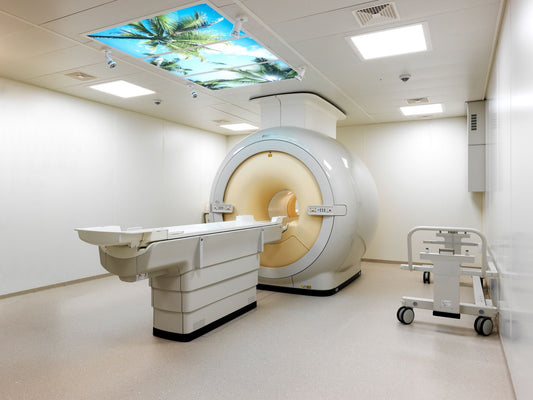 PHYLUM-H: “Medicine, Metaphor, and Architecture”