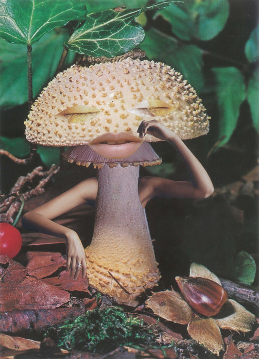 Golden Teachers: Can Mushrooms Save the World?