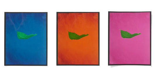 The Color Cult