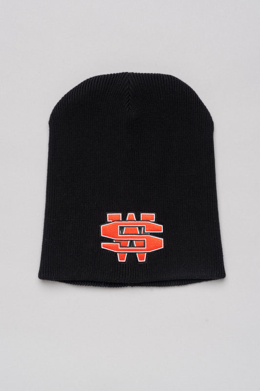 "ONE DOLLAR BILL" BEANIE